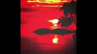 Lil Wayne - Hawaii 5.0 Instrumental