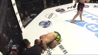 Almighty Fightin 25: Teddy Stringer does it again!!! #shorts #youtubeshorts