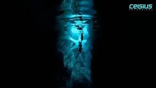 Mark Slavin & Audioholic - Deepdive