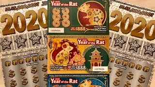 Lunar new year celebration 🧧🐁