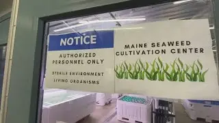 Biddeford company named on national top 10 small business list