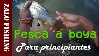 PESCA de cipr&iacute;nidos a BOYA / Carpfishing / Capturas y consejos [ZaloFishing]