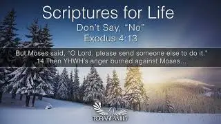 Scriptures for Life  |  Don't Say, 