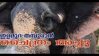 chaithram achu. ചേലുള്ളൊരു കോന്നിക്കാരൻ ഗജ ശ്രീ ചൈത്രം അച്ചു