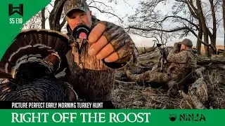 Right Off the Roost  - Picture Perfect Early Morning Turkey Hunt #hunting #turkeyhunting