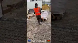 Premium K&ouml;rnerfutter Kanarien-Japan-Silber-gr&uuml;ne+gelbe,Senegal-La Plata-Mohairhirse,Knaulgras