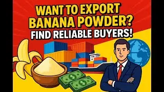 Want to Export Banana Powder? Here's How to Find Reliable Buyers!
