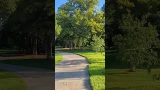 Silver lake Park nature walk summer 2023 edition #world #doverdelaware
