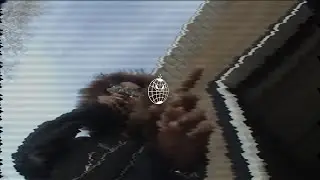 King$ Que$t - Kings International (Official Music Video)