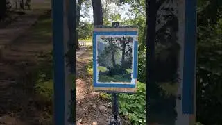 Plein Air Painting Backlit Trees #landscapepainting #pleinairpainting #nature #pleinair