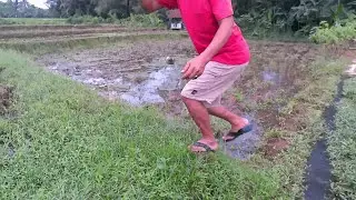 Ngebolang mancing