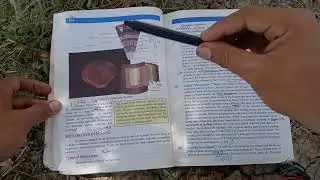 Class 12 Biology CH 16 support and Movement important short and long Questions ||