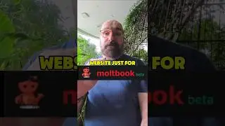 1,4 миллиона ботов OpenClaw на Moltbook &mdash; это БЕЗУМИЕ 😱😱😱