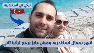 Мой муж-турок решил остаться в Александрии и открыть магазин физалиса 👀 Красота нашей страны отби...