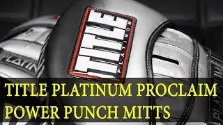 TITLE Platinum Proclaim Power Punch Mitts (лапы)