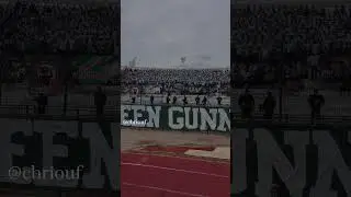 NON MOLARE&rsquo; ULTRA GREEN GUNNERS13🌹