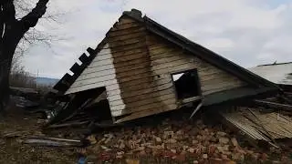Salvage House in the country,Destroyed Honey Bee Nest, Tragic