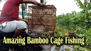 Amazing Bamboo Cage Fishing | Abundant Fish Catching | Traditional Fishing Method