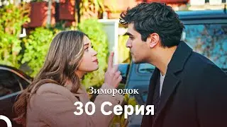 Зимородок 30 Cерия (Русский дубляж)(Длинная Cекция)