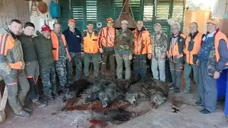 Caccia al cinghiale in Calabria, Brac.ta del 06 dicembre - part. 2/2-la battaglia di Vittorio Veneto