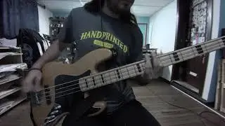 Erase the rat - Backtrack (bass cover)
