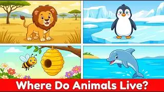 Animal Habitats - Animal Homes [ Animals video for kids] | Kids Learning - AF