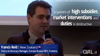 Subsidies: necessary protection or market distortion?