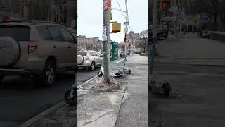Strollin the Bronx #strollinthru  #Bronx #NYC #StreetStyle #Walk #Exploration #newyorkcity #vlogger