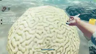 Stranded Deep/ESTOY PERDIDO/1