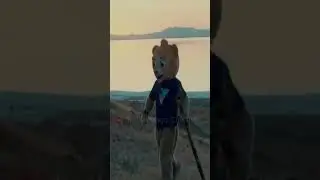 25 a&ntilde;os en un b&uacute;nker y una serie de un oso lo salva 🐻