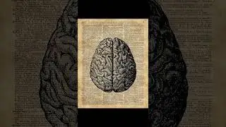 Nothing matters.So choose meaning.#nihilism #philosophy #genz #stoicism #mindset #selfgrowth