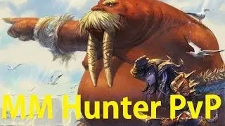 5.4 MM Hunter PvP - Boosted 90 - Patch 5.4