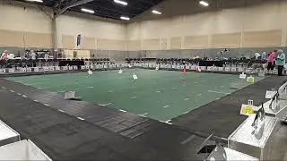 OESCA National Obedience and Rally 2024