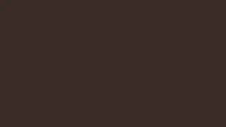Dune  Brown  Screen  ✥✥  1 Hour    ®   🔺 🔶 ⬛️