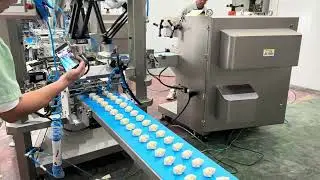【Wonton Machine】#dumplingmaker #wonton #machine #dumplingmakingmachine #dimsumfrozen