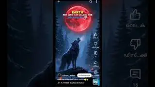 January 3 , Rare Wolf Moon Caught on Camera.Time period 6-7 pm In Kerala 🌃🌌