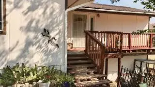 3011 Lebec Oaks Rd, Lebec CA 93243