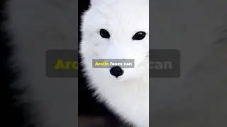 5 Amazing Animal Facts in 30 Seconds! 🐾