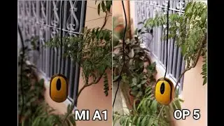 Xiaomi MI A1/5X Vs Oneplus 5 camera test | Oneplus 5 Vs Xiaomi MI A1 camera comparision | Sample