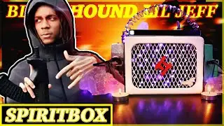 BLOODHOUND LIL JEFF Spirit Box - 
