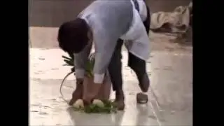 Funny Videos   Japanese Sticky Floor Prank   Facebook