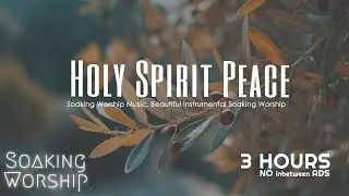 3 Hours Soaking in His Presence ✝️ Instrumental Worship Music No Ads | Holy Spirit Peace