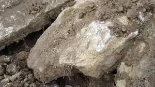 Big pond rocks