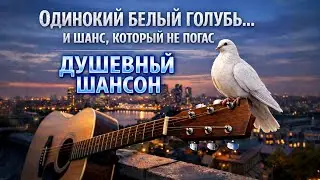 ДУШЕВНЫЙ ШАНСОН: Любовь, одиночество и белый голубь