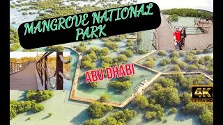 Jubail Mangrove Park 2021 | Abu Dhabi | Mangrove Walk | Travel Vlog | United Arab Emirates | 4K