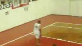 ray forest fisher dunk