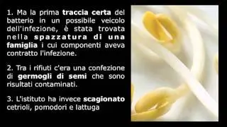 E. Coli: Il batterio killer
