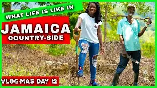 Life in the Jamaican Country Side | Part 2| Jamaica Country Vlog