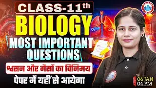 Class 11 Biology Respiration and Exchange of Gases MCQs | श्वसन और गैसों का विनिमय Imp Questions