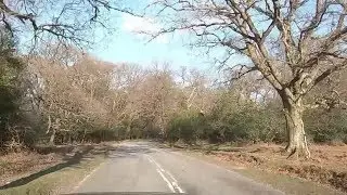 A Drive across The New Forest